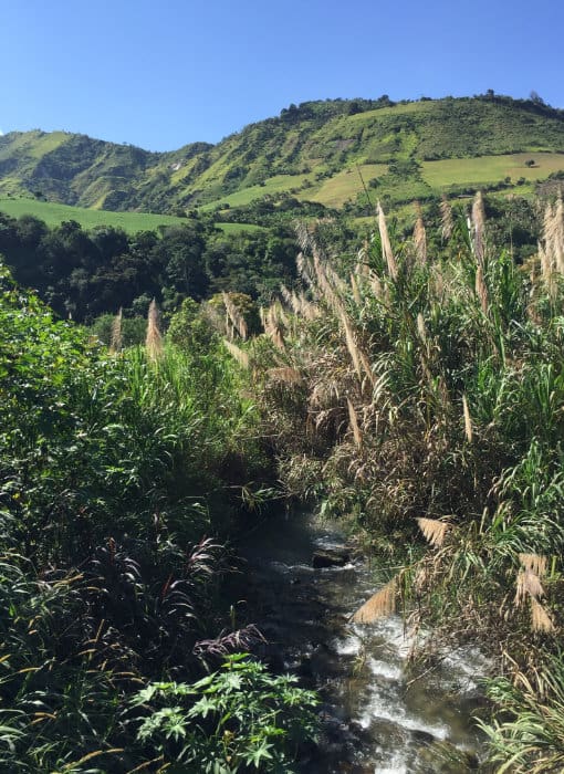 Farm land in the Intag Valley A small stream runs through farm land in the Intag Valley