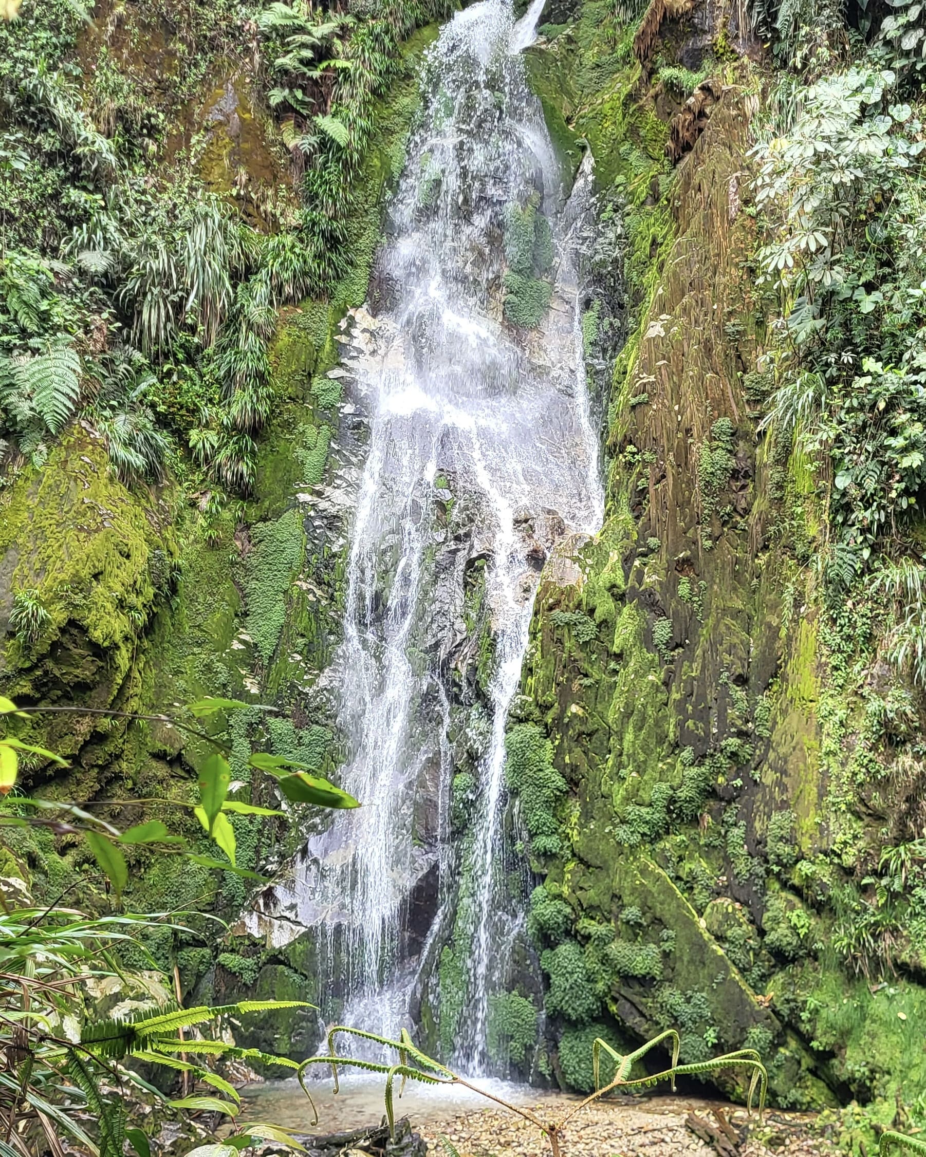un grupo de personas ante una cascada que se precipita por una pared de roca verde musgosa situada en el Valle de Íntag