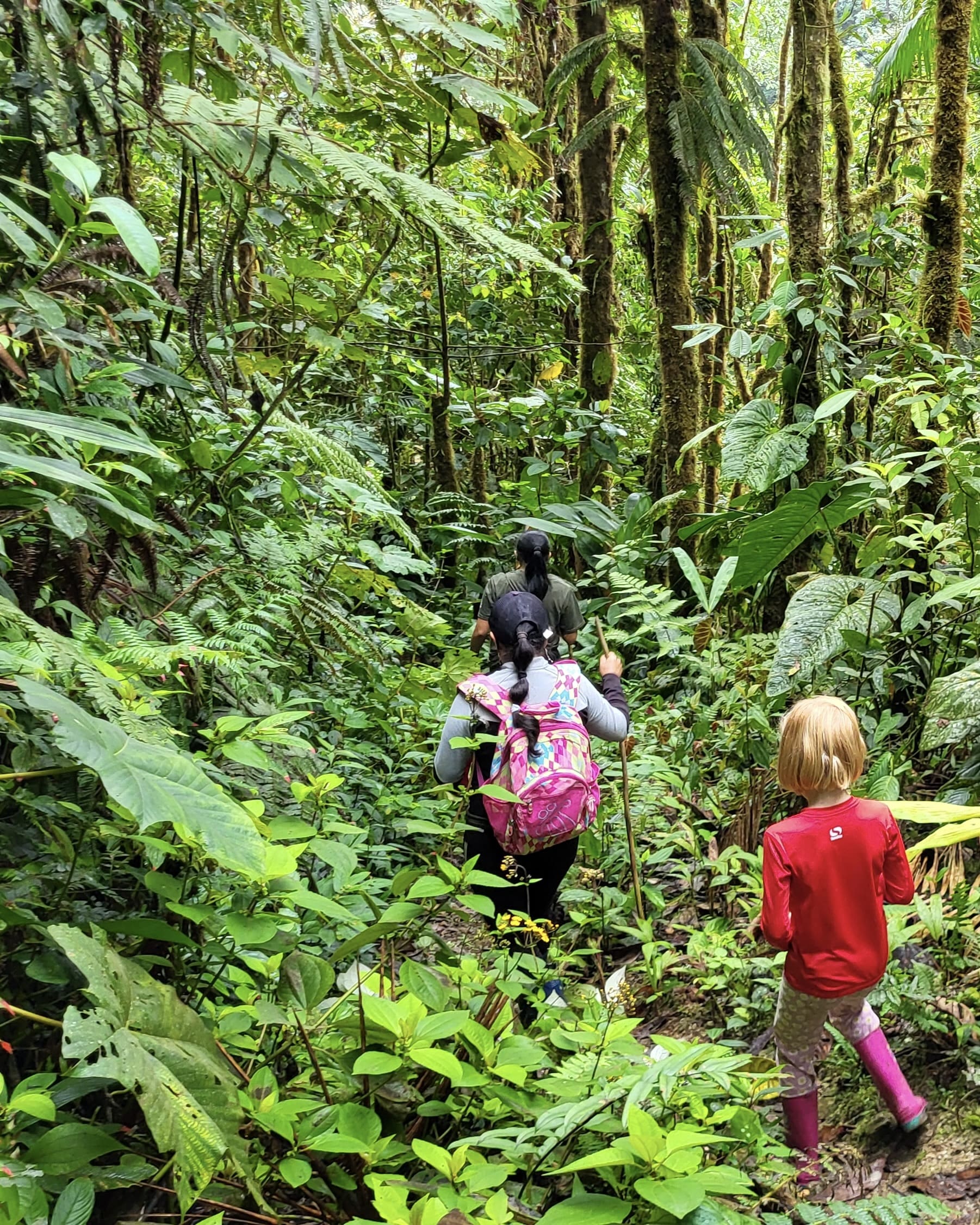 Un pequeño arroyo atraviesa tierras de cultivo en el Valle de Íntag